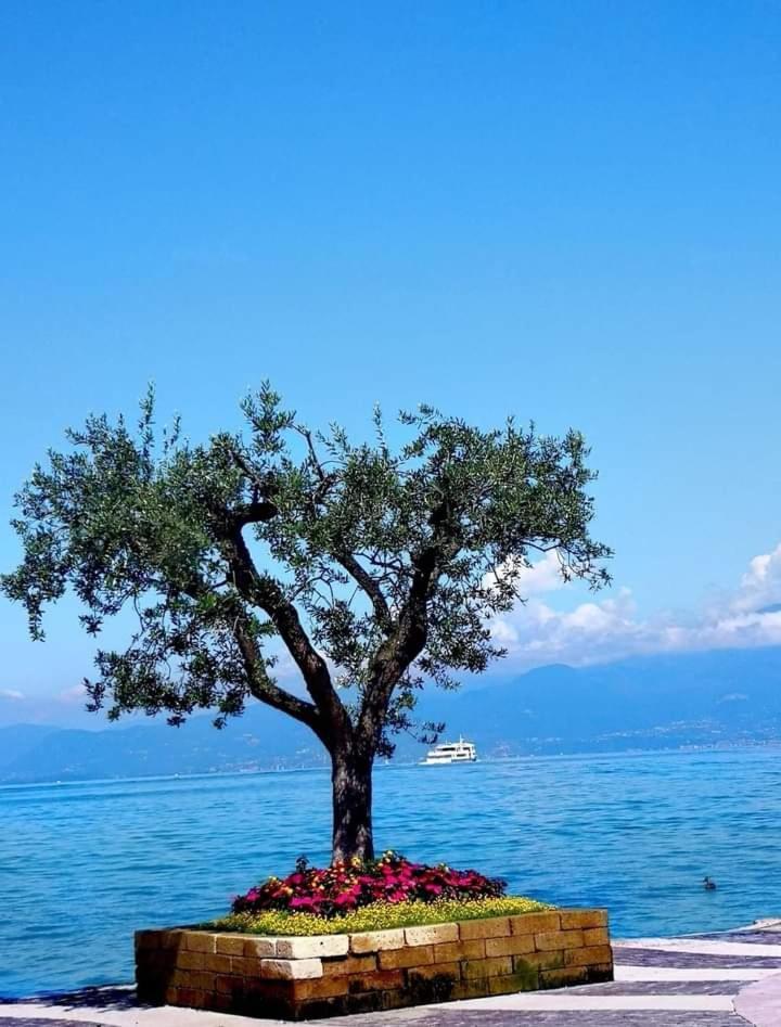 Mahatma Residence Lake View Lazise Szoba fotó